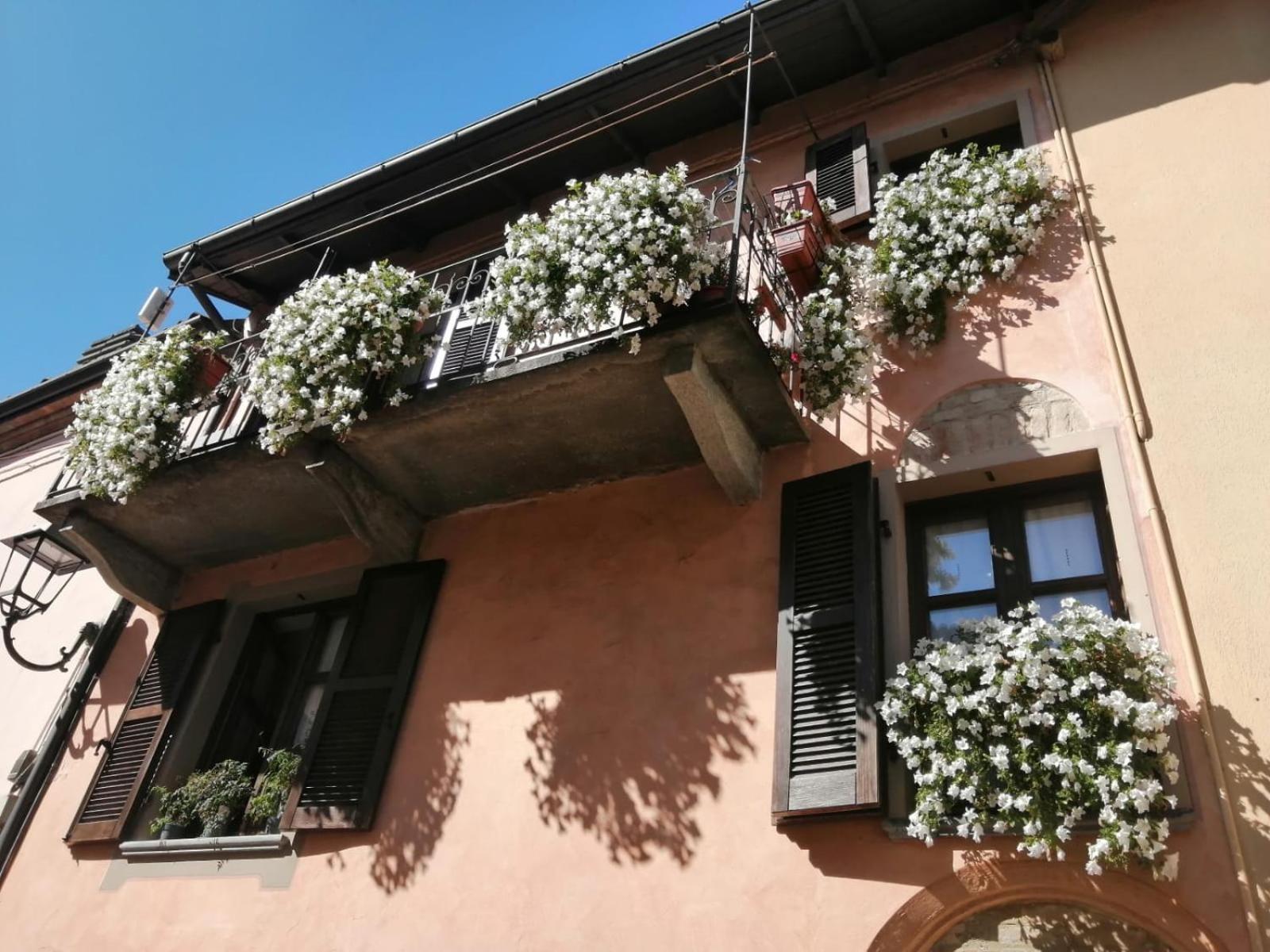 Holiday House Antica Dimora Soggiorni In Langa Centro Storico لا مورّا المظهر الخارجي الصورة